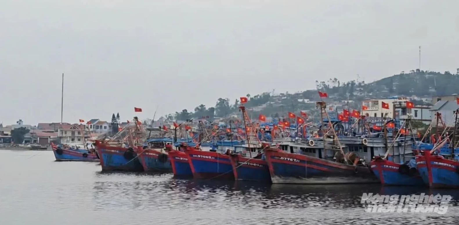 Thanh Hoa to block IUU fishing vessels from sailing